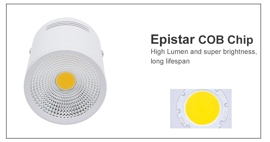 DBF High Bright Epistar COB LED Surface Mounted Downlight Dimmable 3W 5W 7W 10W 12W 15W Ceilling Spot Lamp White/Black Housing