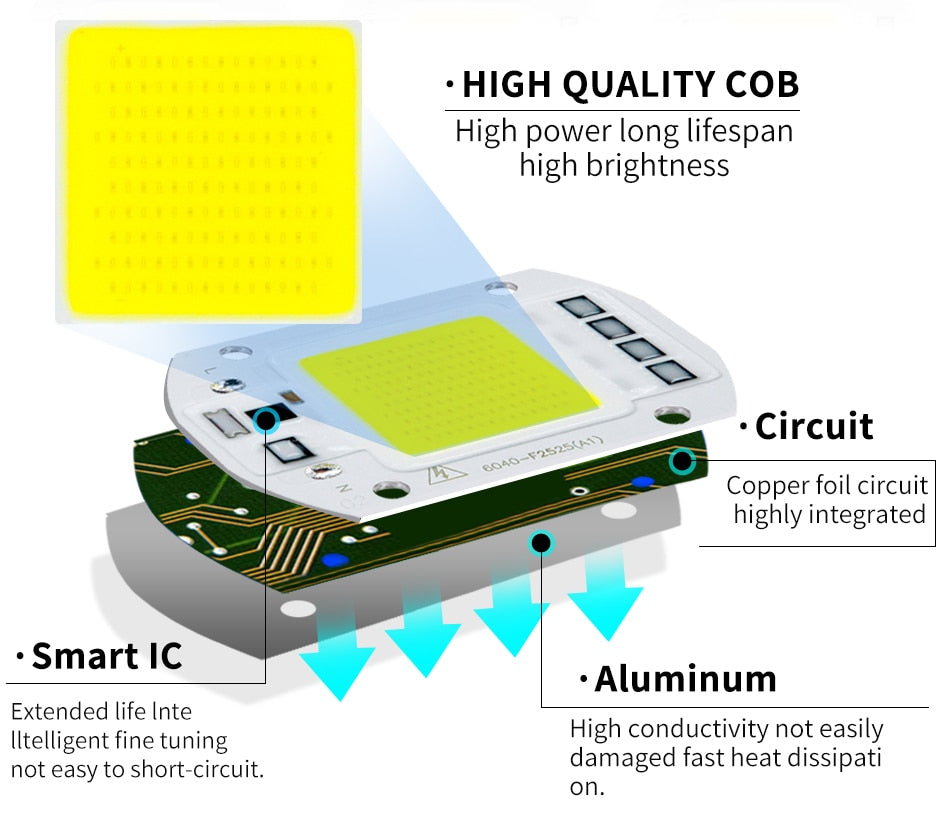 LED Chip 50W 30W 20W 10W 220V 110V COB CHIP LED Lamp For Flood light Spotlight Accessories DIY No Need Driver Matrix Lighting