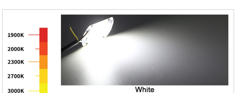 LED Chip 50W 30W 20W 10W 220V 110V COB CHIP LED Lamp For Flood light Spotlight Accessories DIY No Need Driver Matrix Lighting