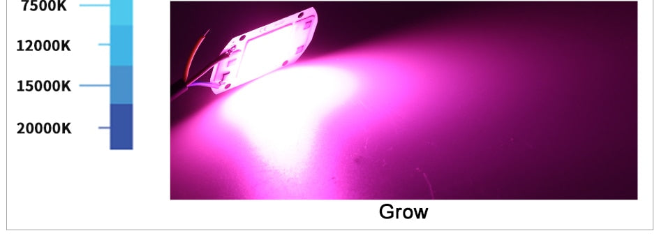 LED Chip 50W 30W 20W 10W 220V 110V COB CHIP LED Lamp For Flood light Spotlight Accessories DIY No Need Driver Matrix Lighting