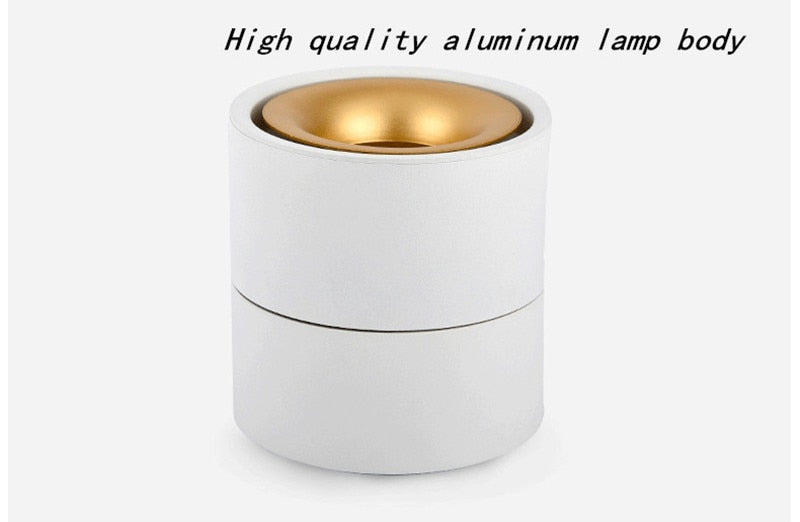 Dimmable COB LED Downlights Surface Mounted LED Ceiling Lamps 7W/10W/15W Foldable And 360° Rotatable Background Spotlights