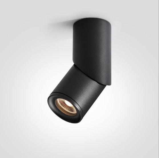 Dimmable Rotating LED Downlights 7W 9W 12W 15W COB LED Ceiling Spot Lights AC110-220V LED Wall Lamp Warm Cold White Indoor Lighting