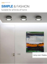 Led Downlight Center and Edge Glow Ceiling Spot Light 5W 7W 9W 12W 15W 18W Dimmable AC220V Recessed Indoor Lighting