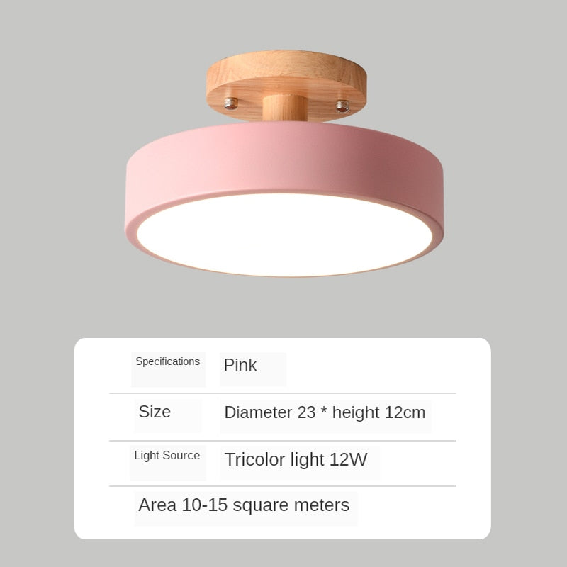 Modern living room LED ceiling lamp bedroom dining room lighting bathroom hotel chandelier factory direct sales