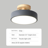 Modern living room LED ceiling lamp bedroom dining room lighting bathroom hotel chandelier factory direct sales