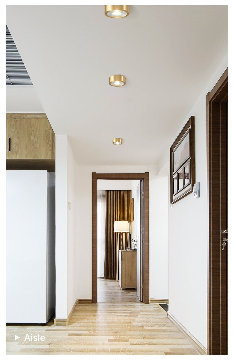 copper mounted downlight led ultra-thin non-opening background wall ceiling spotlight Nordic entrance hallway small light