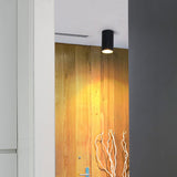 Long Tube Led Downlight Ceiling Downlight Surface Mounted Spot Led 5W Length 75mm 200mm 300mm Ceiling Lamp For Home Store Office