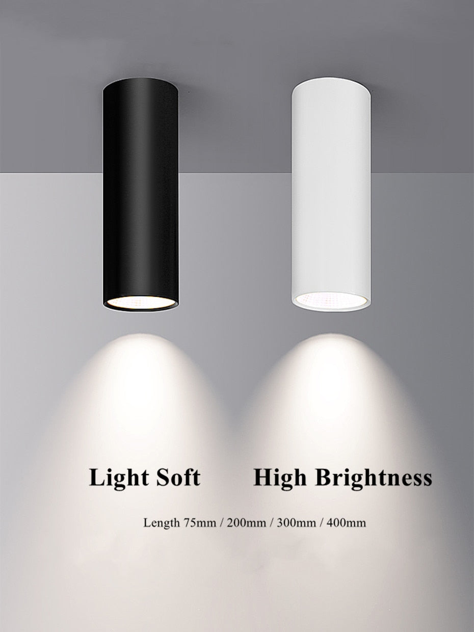 Long Tube Led Downlight Ceiling Downlight Surface Mounted Spot Led 5W Length 75mm 200mm 300mm Ceiling Lamp For Home Store Office