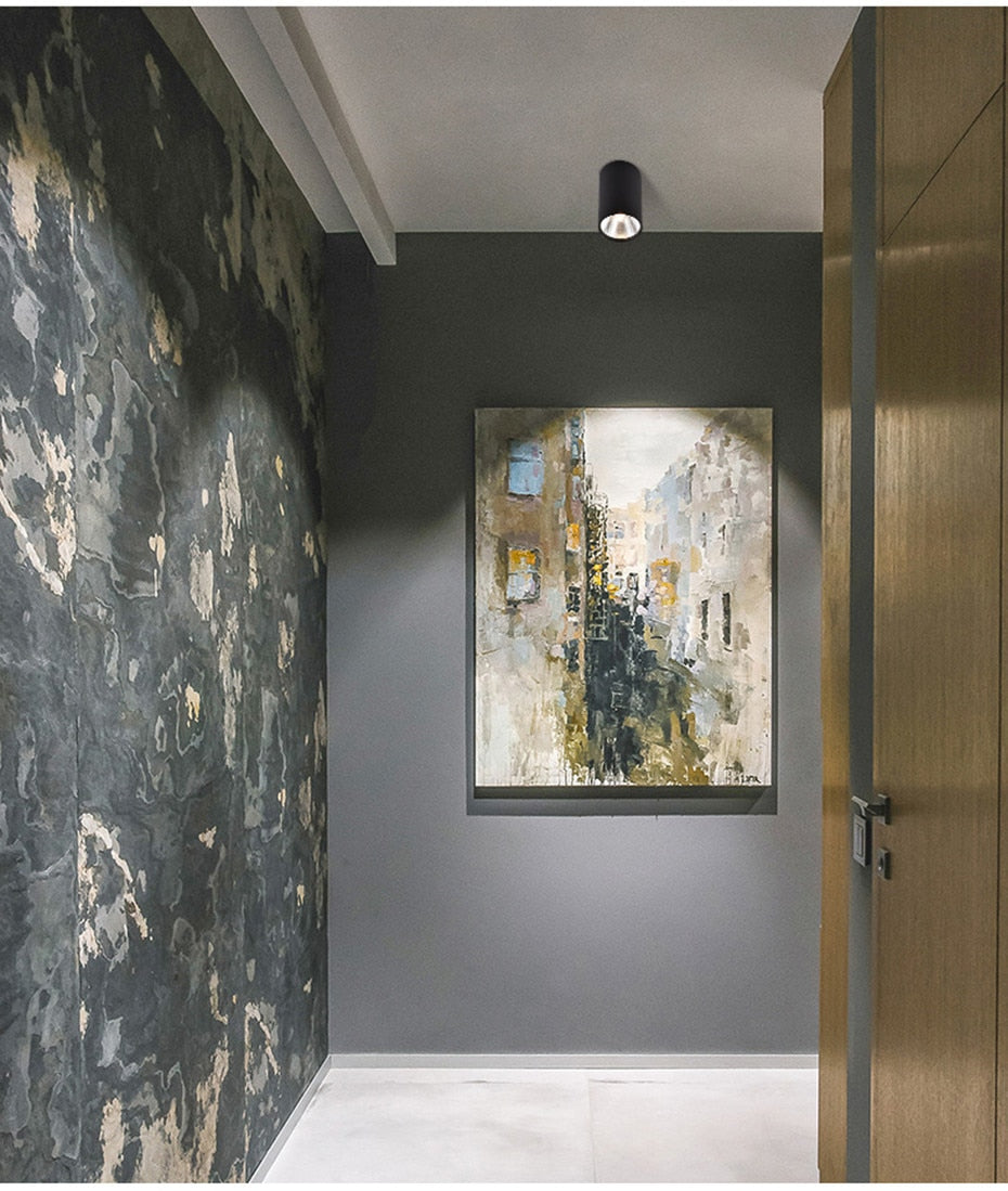 Long Tube Led Downlight Ceiling Downlight Surface Mounted Spot Led 5W Length 75mm 200mm 300mm Ceiling Lamp For Home Store Office