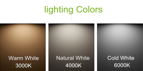 360 Angle Rotatable LED Recessed Downlight 5W 7W 10W 12W 15W LED Ceiling Spot Light 3000K/4000K/6000K Black/White Housing Light