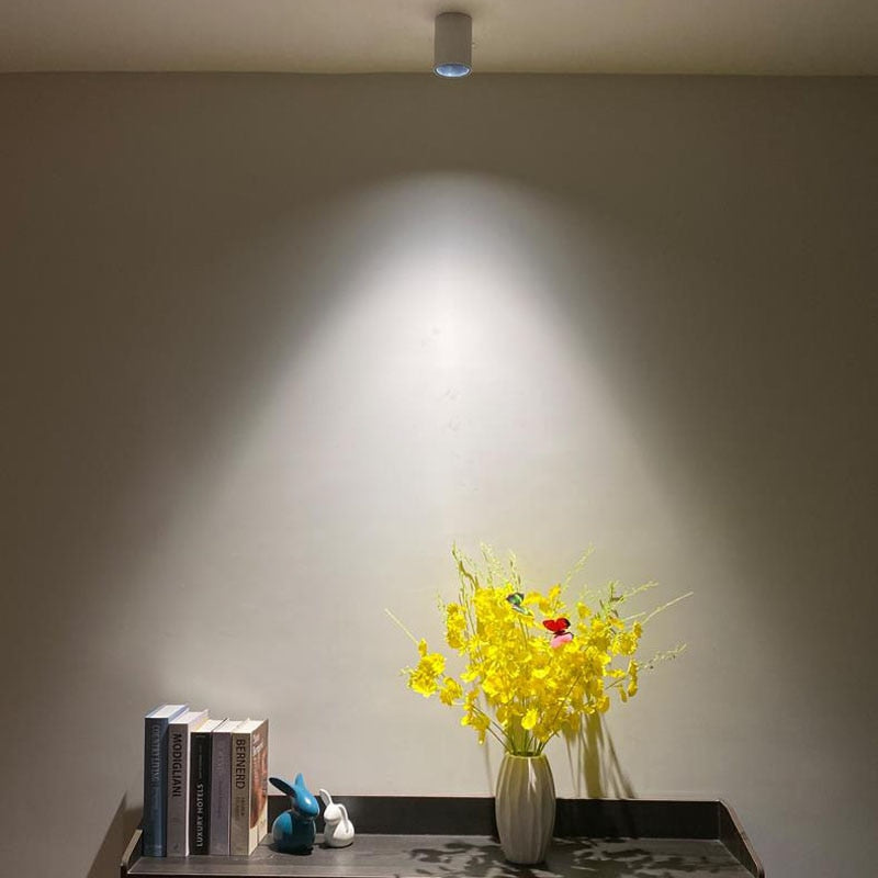 Round Dimmable Surface Mounted LED Downlights 7W 9W 12W 15W COB LED Ceiling Spot Lights AC110-220V LED Lamp Indoor Lighting