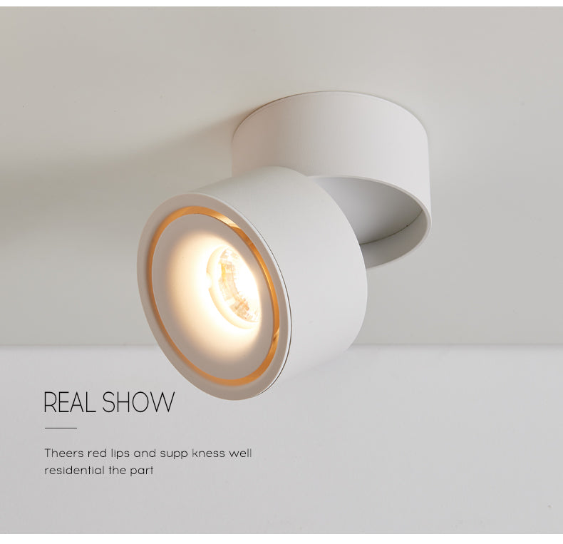 Tinlaibor Dimmable 9W LED Ceiling Rail lamp Household Nordic MainLiving room Bedroom Foyer Porch Aisle Spotlight Downlight