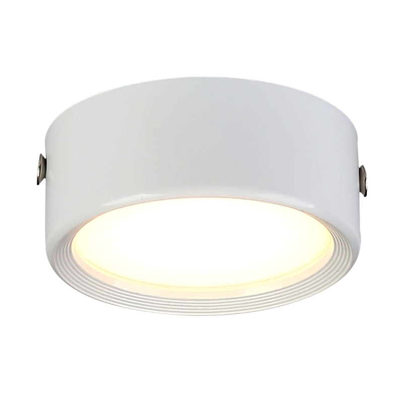 Surface Mounted LED Downlight 7W 9W 15W 18W 24W 30W Dimmable 110V 220V Simple Ceiling Spot Lamp Black and White Indoor Lighting