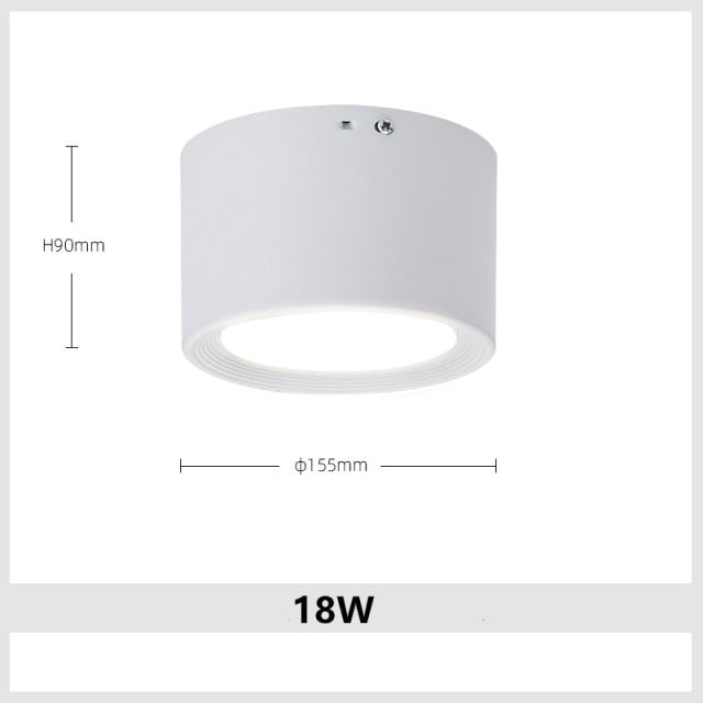 Surface Mounted LED Downlight 7W 9W 15W 18W 24W 30W Dimmable 110V 220V Simple Ceiling Spot Lamp Black and White Indoor Lighting