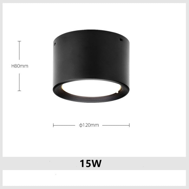 Surface Mounted LED Downlight 7W 9W 15W 18W 24W 30W Dimmable 110V 220V Simple Ceiling Spot Lamp Black and White Indoor Lighting