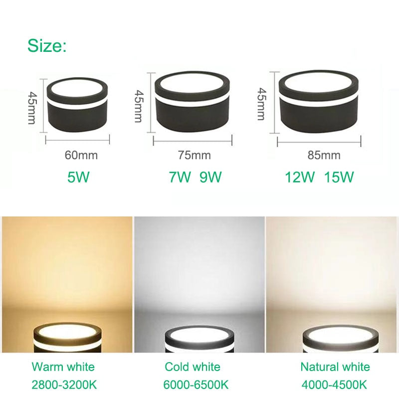 Surface mounted LED downlight ceiling light spotlight 5W 7W 9W 12W 15W Nordic modern fashion LED downlight AC220V