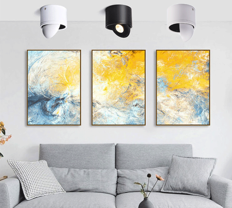 Surface Mounted LED Downlight 5W 7W 9W 15W Spot Light 360 angles revolve LED Downlight 12V 24V + LED Driver