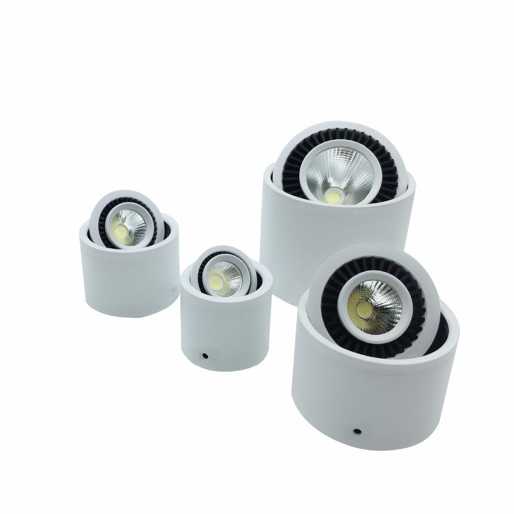 Surface Mounted LED Downlight 5W 7W 9W 15W Spot Light 360 angles revolve LED Downlight 12V 24V + LED Driver