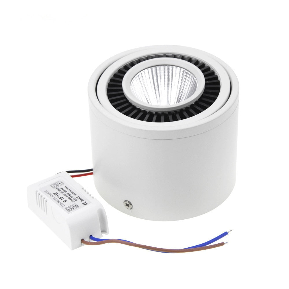 Surface Mounted LED Downlight 5W 7W 9W 15W Spot Light 360 angles revolve LED Downlight 12V 24V + LED Driver