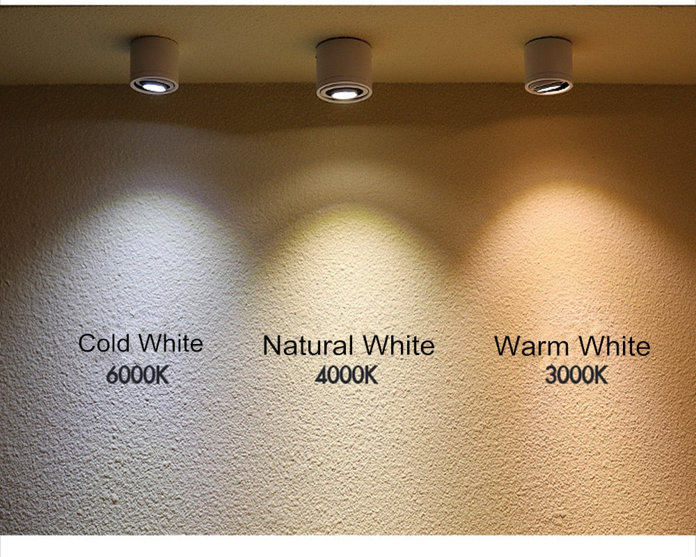 Surface Mounted LED Downlight 5W 7W 9W 15W Spot Light 360 angles revolve LED Downlight 12V 24V + LED Driver