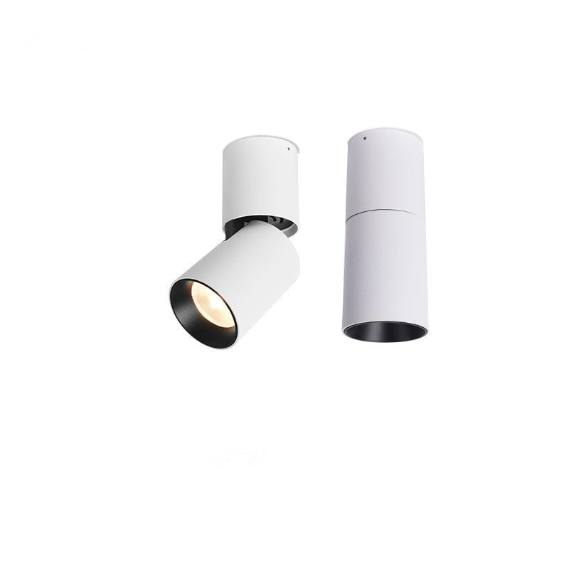 Surface Mounted Ceiling Downlight LED Spot light Adjustable 360 degrees for indoor Foyer,Living Room Kitchen 7W/12W AC220V