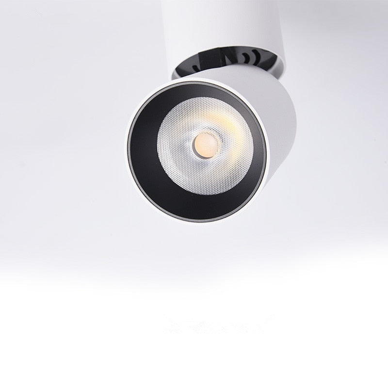 Surface Mounted Ceiling Downlight LED Spot light Adjustable 360 degrees for indoor Foyer,Living Room Kitchen 7W/12W AC220V