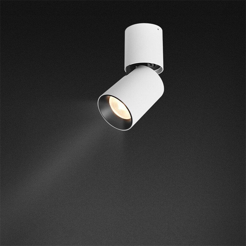 Surface Mounted Ceiling Downlight LED Spot light Adjustable 360 degrees for indoor Foyer,Living Room Kitchen 7W/12W AC220V