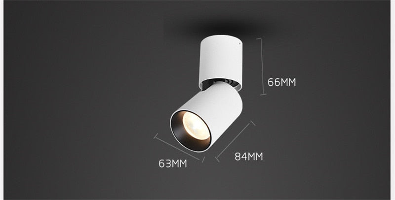 Surface Mounted Ceiling Downlight LED Spot light Adjustable 360 degrees for indoor Foyer,Living Room Kitchen 7W/12W AC220V