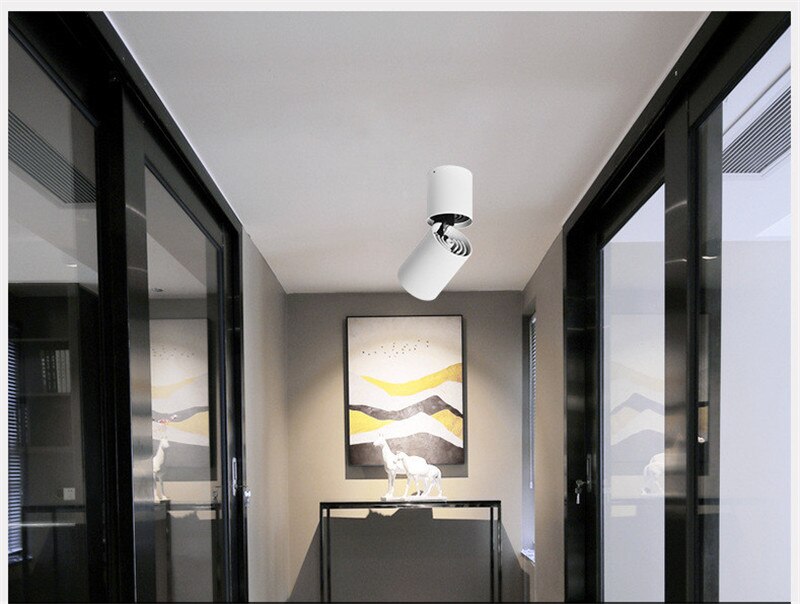 Surface Mounted Ceiling Downlight LED Spot light Adjustable 360 degrees for indoor Foyer,Living Room Kitchen 7W/12W AC220V