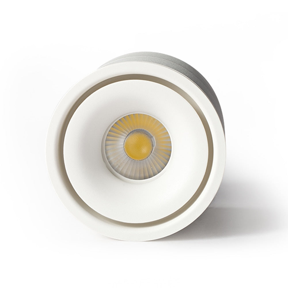 DBF Angle Adjustable Ceiling No-Cut Surface Mounted Downlight 7W 10W 12W 15W LED Ceiling Spot Light for Kitchen Bedroom Decor