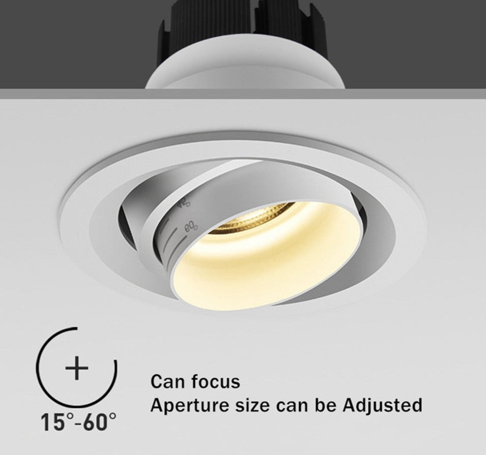 Beam Angle Adjustable 15/45/60 Degrees LED COB Recessed Downlight 5W 10W 15W LED Ceiling Spot Light for Picture Background