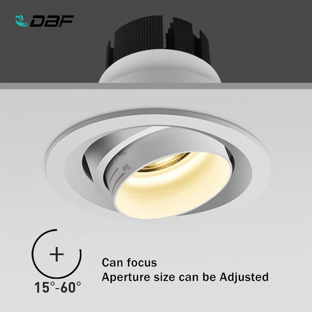 DBF Beam Angle Adjustable 15/45/60 Degrees LED COB Recessed Downlight 5W 10W 15W LED Ceiling Spot Light for Picture Background
