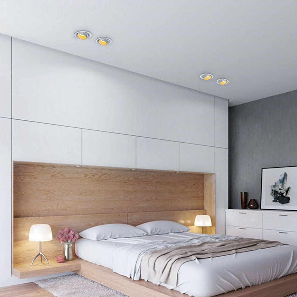 Beam Angle Adjustable 15/45/60 Degrees LED COB Recessed Downlight 5W 10W 15W LED Ceiling Spot Light for Picture Background