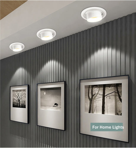 Beam Angle Adjustable 15/45/60 Degrees LED COB Recessed Downlight 5W 10W 15W LED Ceiling Spot Light for Picture Background