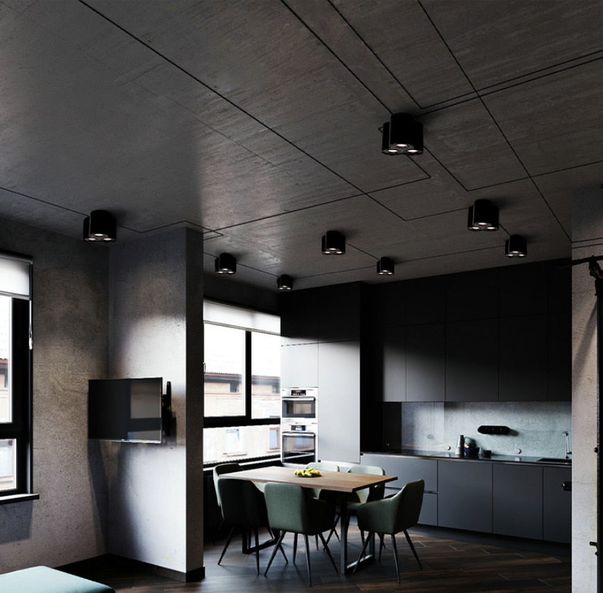 Dimmable Rotating 360° LED Downlights 10W 30W COB LED Ceiling Spot Lights GU10 Light Source LED Background Lamps Indoor Lighting