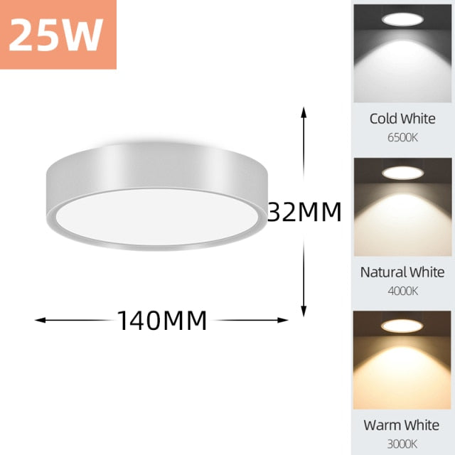 Mini Small LED Ceiling Lamp 220V Led Ceiling Lights 5/7/10/15/25W Led Downlight Spot Panel light for Living Room Bedroom