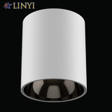 IP65 Waterproof Surface Mounted Downlight Deep Anti-glare Outdoor Lighting Balcony Led Ceiling Spotlight 10W 30W 50W 80W 100W