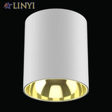 IP65 Waterproof Surface Mounted Downlight Deep Anti-glare Outdoor Lighting Balcony Led Ceiling Spotlight 10W 30W 50W 80W 100W