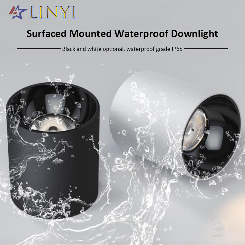 IP65 Waterproof Surface Mounted Downlight Deep Anti-glare Outdoor Lighting Balcony Led Ceiling Spotlight 10W 30W 50W 80W 100W