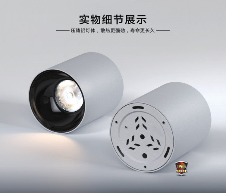 IP65 Waterproof Surface Mounted Downlight Deep Anti-glare Outdoor Lighting Balcony Led Ceiling Spotlight 10W 30W 50W 80W 100W