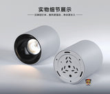 IP65 Waterproof Surface Mounted Downlight Deep Anti-glare Outdoor Lighting Balcony Led Ceiling Spotlight 10W 30W 50W 80W 100W