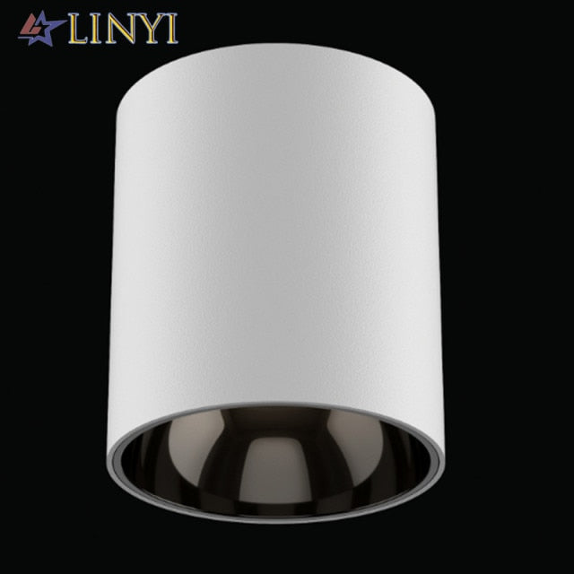 IP65 Waterproof Surface Mounted Downlight Deep Anti-glare Outdoor Lighting Balcony Led Ceiling Spotlight 10W 30W 50W 80W 100W