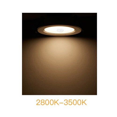 Recessed LED Downlights With PIR Motion Sensor 5W 10W 15W 20W 85-265V Smart LED Diode Downlight Lamp For Corridor Stairs