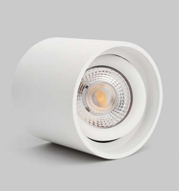 Dimmable LED spotlight 7W 9W 12W 15W 18W 110v/220v downlight angle adjustable ceiling type living room bedroom household spotlight