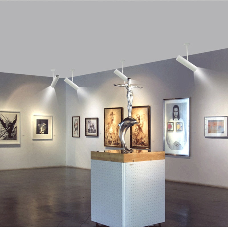 Downlight spotlight LED rotating surface installation COB 3w 5w 7w 10W 12W art background wall ceiling lamp spot light family store