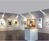 Downlight spotlight LED rotating surface installation COB 3w 5w 7w 10W 12W art background wall ceiling lamp spot light family store