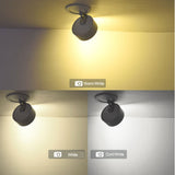 Adjustable Recessed Ceiling Downlights 7W 10W 15W Dimmable LED Recessed lamp Nordic Spot light for indoor Spot lighting fixture