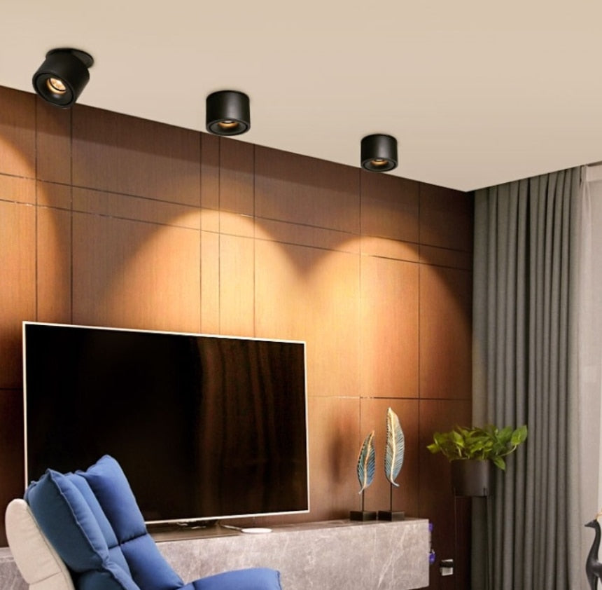 Adjustable Recessed Ceiling Downlights 7W 10W 15W Dimmable LED Recessed lamp Nordic Spot light for indoor Spot lighting fixture