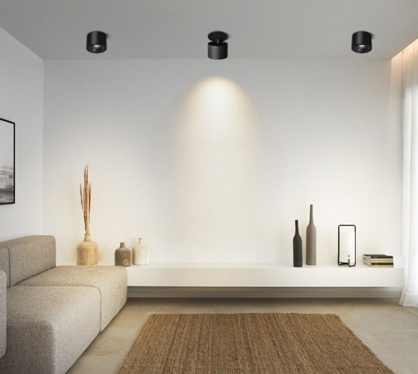 Adjustable Recessed Ceiling Downlights 7W 10W 15W Dimmable LED Recessed lamp Nordic Spot light for indoor Spot lighting fixture