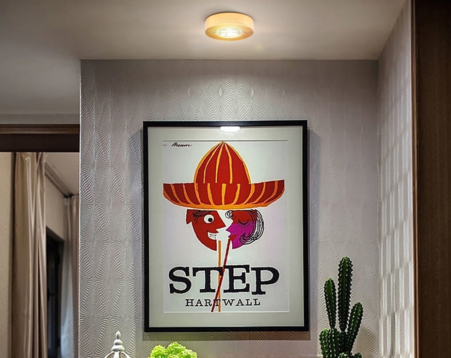 New Ultra Thin Cabinet Light Surface Mounted Led Downlight Indoor Home Ceiling Led Lamp 3W 5W 7W 10W AC220V Living Room Lighting